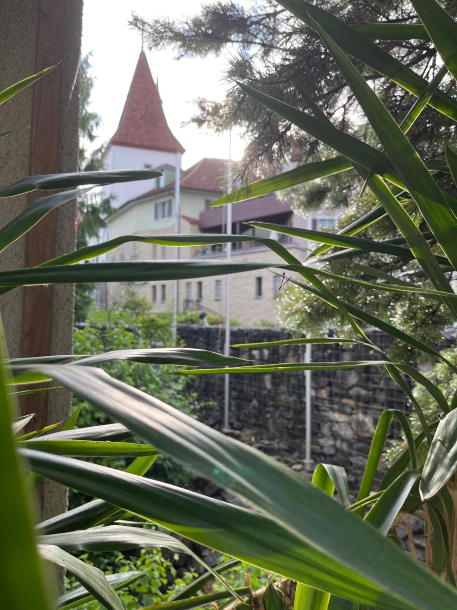 Guesthouse Juerg Sempach Buitenkant foto